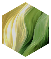 Vector (11)