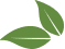 [LEAVES]