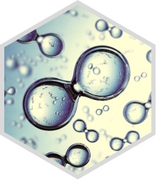 Vector (20)
